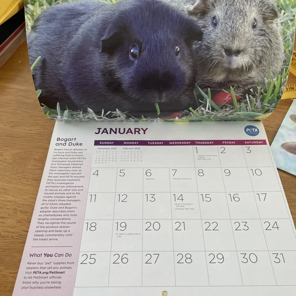 PeTA 2026 Calendar 12 Months Rescued! And 2026 Monthly Planner PETA Lot NEW
